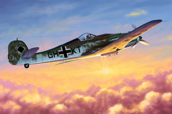 Hobbyboss 1/48 FW 190D-10
