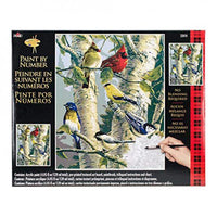 Plaid Paint By Numbers - Song Bird Favourites